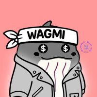 该来的总会来的.base.eth (@pelago20) 's Twitter Profile Photo