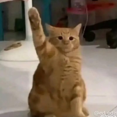 axel13121989's profile picture. 