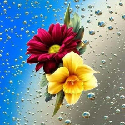 MoOoOo06356381's profile picture. 