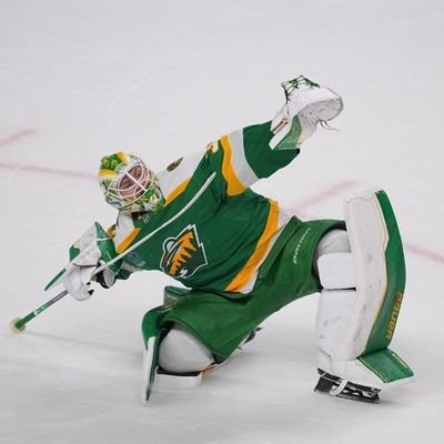 LetsGoWildPicks's profile picture. https://t.co/0GdnaXm1Hn

#MnWild #Skol