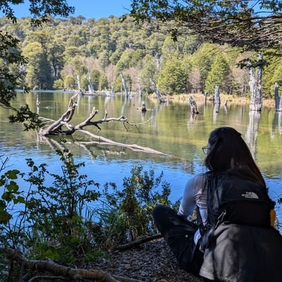 zepplna's profile picture. pero ¿por qué? 
https://t.co/ID7G4B6aPj