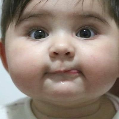 tmkoc_2024's profile picture. 