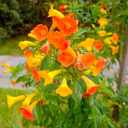 abejita9412's profile picture. 