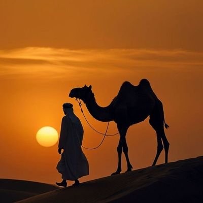 R008__LR5's profile picture. اللهُمَّ اجعَلني مِمَّن يُكثِرُ ذِكرَكَ، ويُتابعُ شُكرَكَ، ويَلزَمُ عِبادَتَكَ