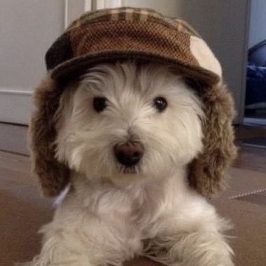 kulkulkuri's profile picture. 