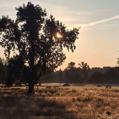 LiamTorKUD's profile picture. -Team member @ https://t.co/jYEC7Vd6iX
-Analyzing tornado paths using satellite imagery
-Revising historical tornado events (maps etc.)