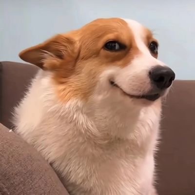 imdogesh's profile picture. Doge memes 😎🐶 | Hindi funny reels 😂🔥
Daily relatable comedy. Stay entertained! 🤣🔥Daily