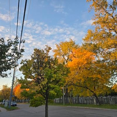 Cupmallows's profile picture. 26 | gamer | HC worker 💉🌱🩺| chillaxing
he/him
🇵🇭🇨🇦
(mdni+ nsfw dni) just here to vibe💚🖤
enjoyer of kpop and keshi