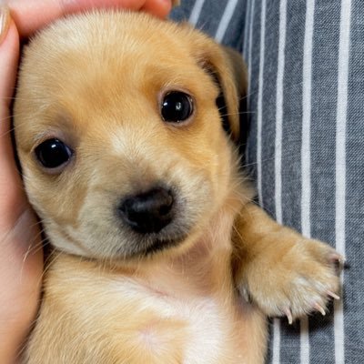 ToSudS's profile picture. Argumentative, History, Story Teller, Good Chef, Chess