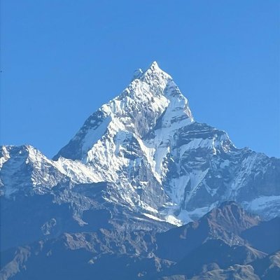 TanveerP532001's profile picture. 