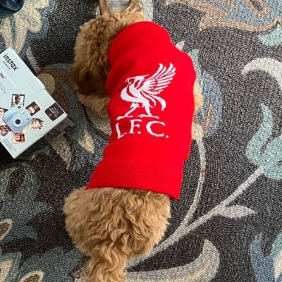 johndagun1's profile picture. 