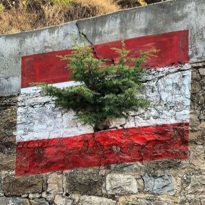 AntoinetteMou16's profile picture. 