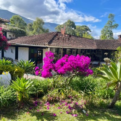 cegoso's profile picture. 