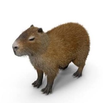 ehrmntrautwaifu's profile picture. 