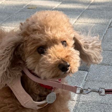 minyouungi's profile picture. Min Yoongi | SUGA | Agust D ♡