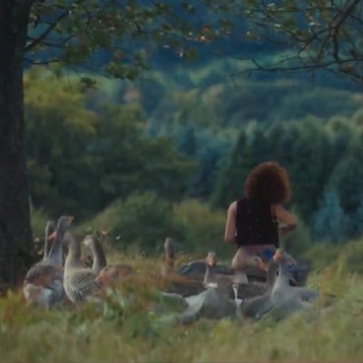 B4RB4T0SV's profile picture. 𝚖𝚊𝚢 𝚢𝚘𝚞𝚛 𝚝𝚛𝚒𝚊𝚕𝚜 𝚎𝚗𝚍 𝚒𝚗 𝚊 𝐟𝐮𝐥𝐥 𝐛𝐥𝐨𝐨𝐦 ✿ 21y🇲🇽—(SHE/THEY) ׅ ࣪{⚢} ？