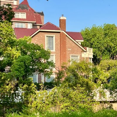 royextra888's profile picture. Venture Captalist. Fascinated with extraordinary new things