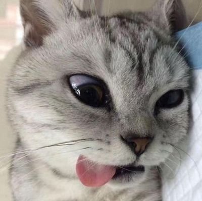 kemandickbud's profile picture. msih mencari usn yg cocok