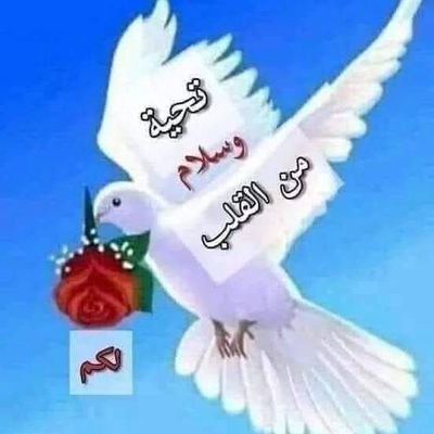 D_3426m's profile picture. سبحان الله العظيم