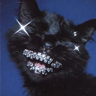 hanage_eeee's profile picture. 