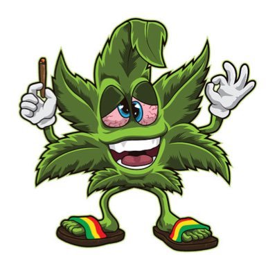 enstroll's profile picture. 