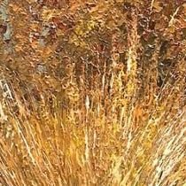 bekqulov81106's profile picture. .