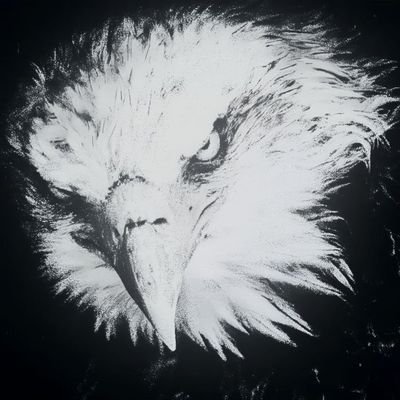 arnoldkketter's profile picture. internet biz | @outbound_iq