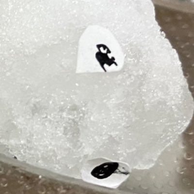 mdJLcJBTLe111's profile picture. 気分いい時はめっちゃ呟きます。自己満垢 めっっっちゃ素です。見てる人の私への理想をぶち壊していきます