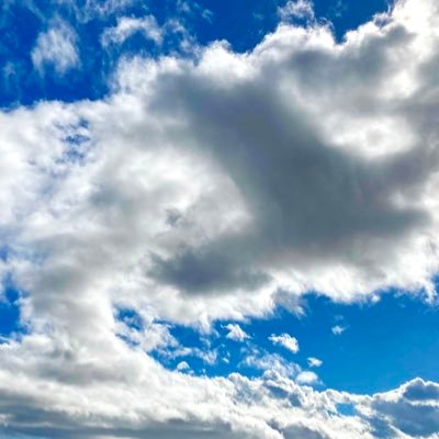 magaridaippo's profile picture. 小説創作垢、読書垢。好きな作家は川上弘美、池澤夏樹、松浦理英子、伊坂幸太郎、安部公房、ゴーゴリ。カクヨムにて「サステナブル美食家リョウコ」連載開始20251115