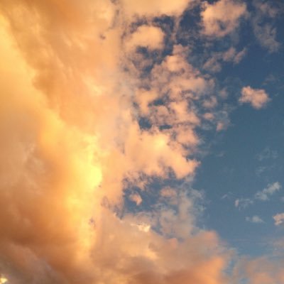 9_hlx's profile picture. 🧡✨