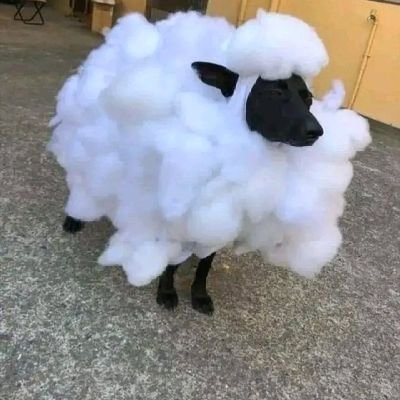 Linda_Jemutai's profile picture. Economics || Finance.