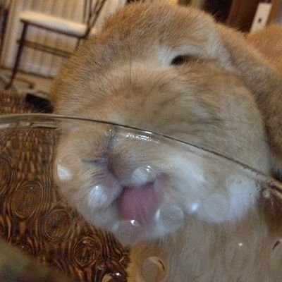 puoooup's profile picture. 어서오세요^.^