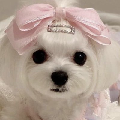 loveaero_'s profile picture. 