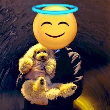 narukami_biz's profile picture. 犬！音楽！投資！FX！株！旅行！車！バイク！自転車！キャンプ！アウトドア！筋肉！力！金！富！名声！暴力！嫌儲！筋肉は全てを救うが俺だけ救わない。ああ、みんなこんな気分だったんだなって。