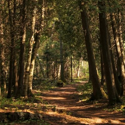 V33686Vodnala's profile picture. 