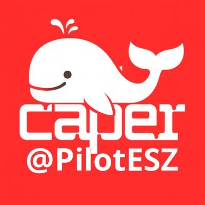 PilotESZ's profile picture. 