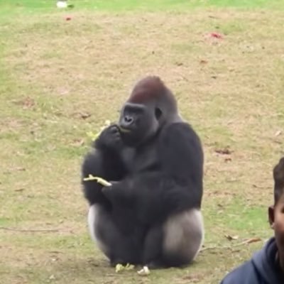 XyxyxxHxl's profile picture. 혼잣말구독계