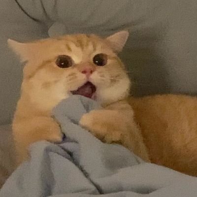 pockyy_mmiow's profile picture. 뉴이스트❤️🐶🦊🐢🐰🐯❤️ㄴ.ㅇ.ㅅ.ㅌ {러브🍑}@NUESTNEWS {🍑#년복 #황쩨 #มินเจ #2hyun 🍑} #NCT #แจโด 🐰 #jaedo #nomin  ☁️ B.A.P  {Baby}