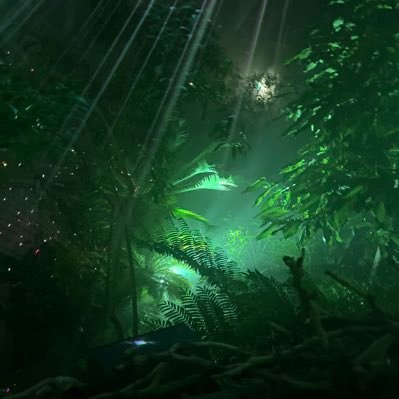 tear12tear's profile picture. 気ままに写真をあげてます。