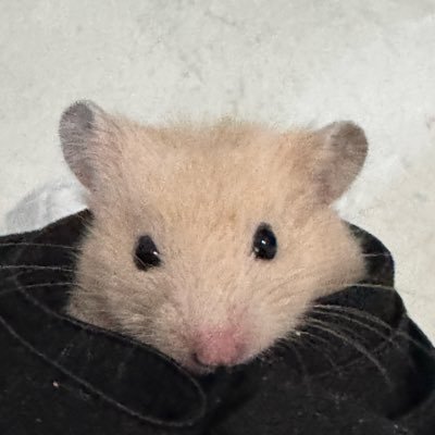 ykbcbz_'s profile picture. 