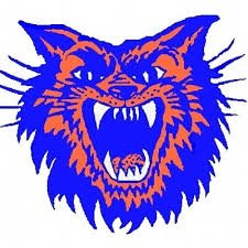 CUSD99_AD's profile picture. Official Page for Christopher High School and Christopher Elementary Bearcat Athletics

Christopher, Illinois