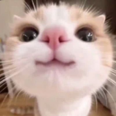 eonbinie's profile picture. wb (logged out)