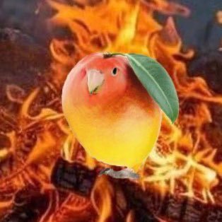 2fotul46vbjowa's profile picture. 내가 갑옷미랭이고 얘가 초대형미랭이야