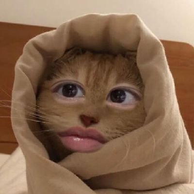 _ruru36's profile picture. 