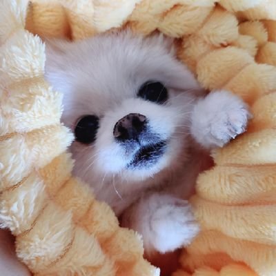 pppoppopop's profile picture. 요즘 관심사 돈💰