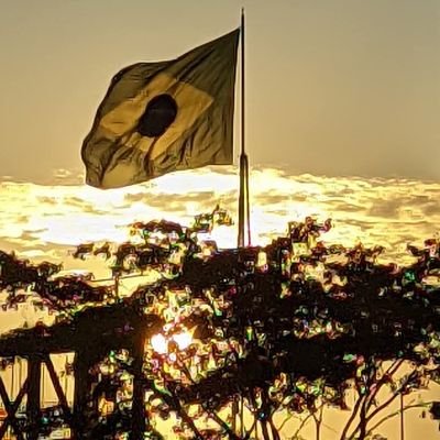 BrasilVemComigo's profile picture. O preço da libertadade é a eterna vigilância.
  🇧🇷🇮🇱🕎✝️🙌🙏