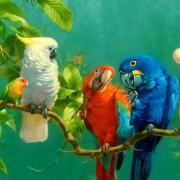 XLaBete's profile picture. Les algorithmes X maîtrisent les
comptes, vues & affects. #AdoptDontShop 🐶🐱 #StopAbandon 📲3677 #Enfants 🚸119 #NaH 3018 #StopSuicide 3114🗣👂🚷  112 🇨🇭🇪🇺