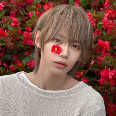 4hofonly's profile picture. — au dump | photo & video edits | fan account for AHOF 💫