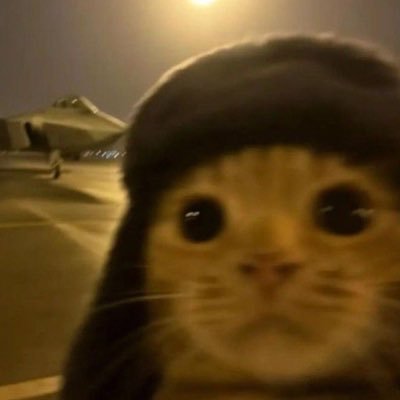 oxinal202's profile picture. tell me shit I ain’t gonna listen to u