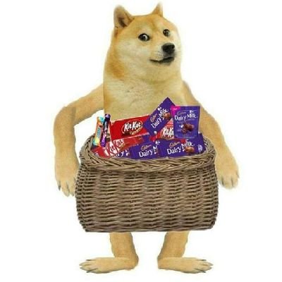 rajtwts's profile picture. 